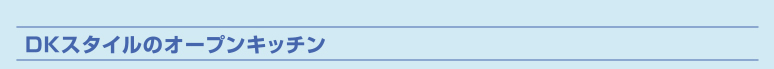 DKスタイルのオープンキッチン