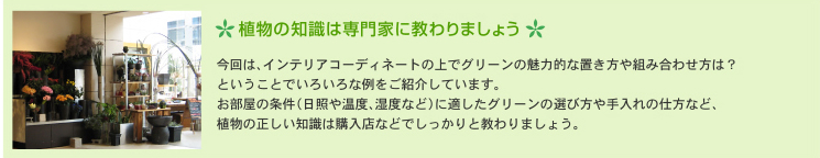 植物の知識は専門家に教わりましょう