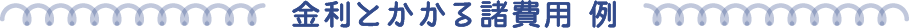 金利とかかる諸費用 例