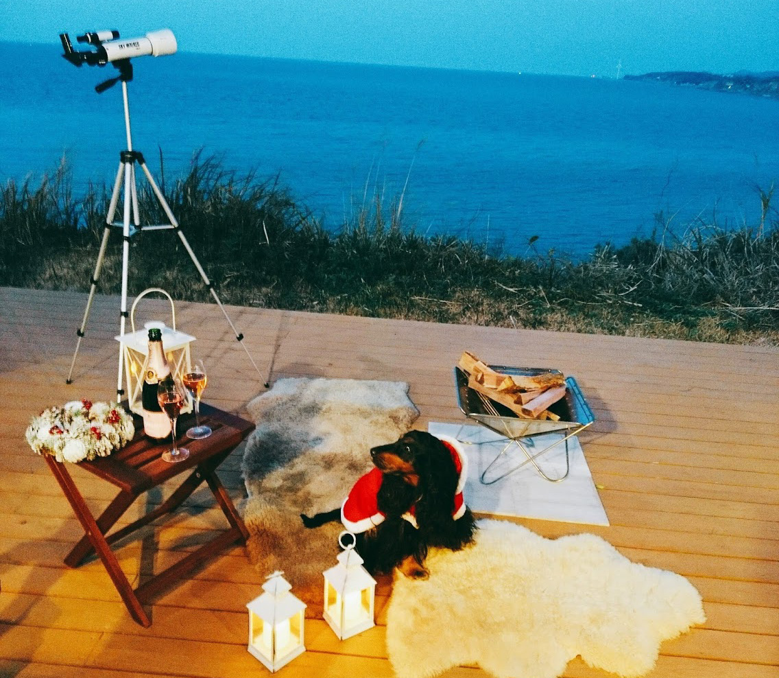 メディアのキャプション