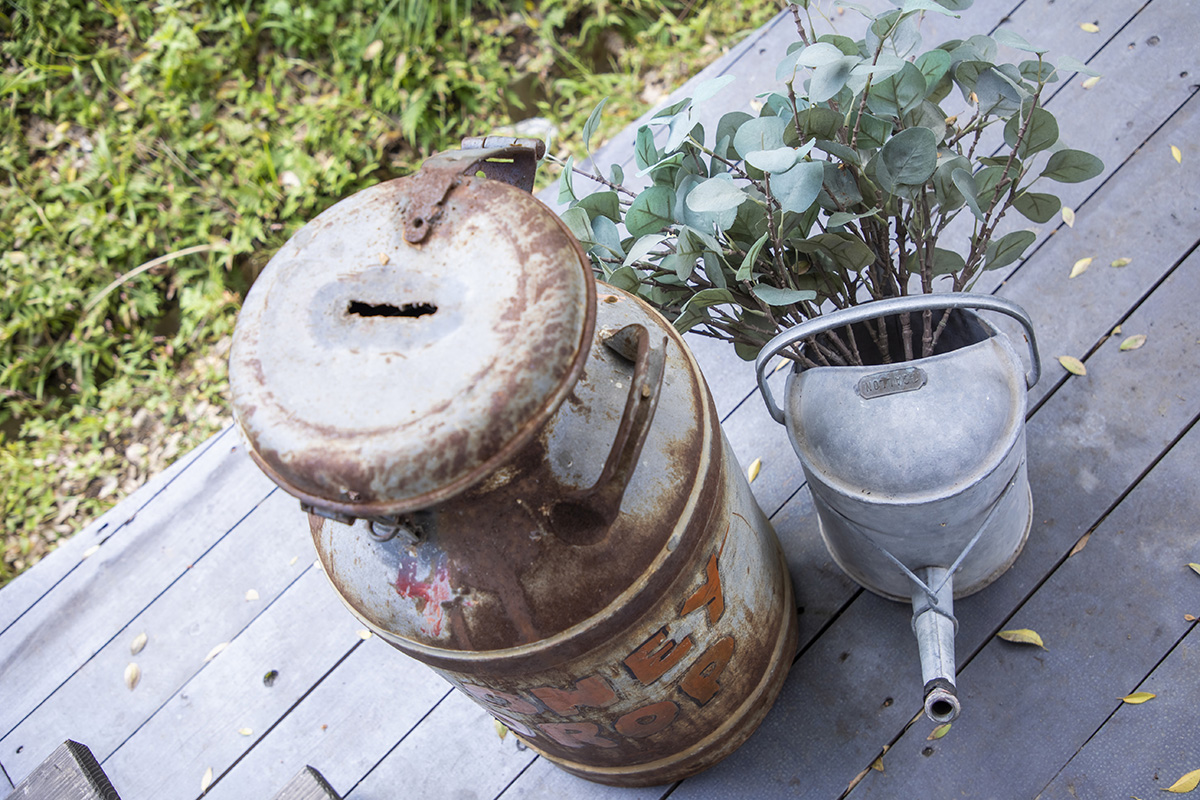 メディアのキャプション