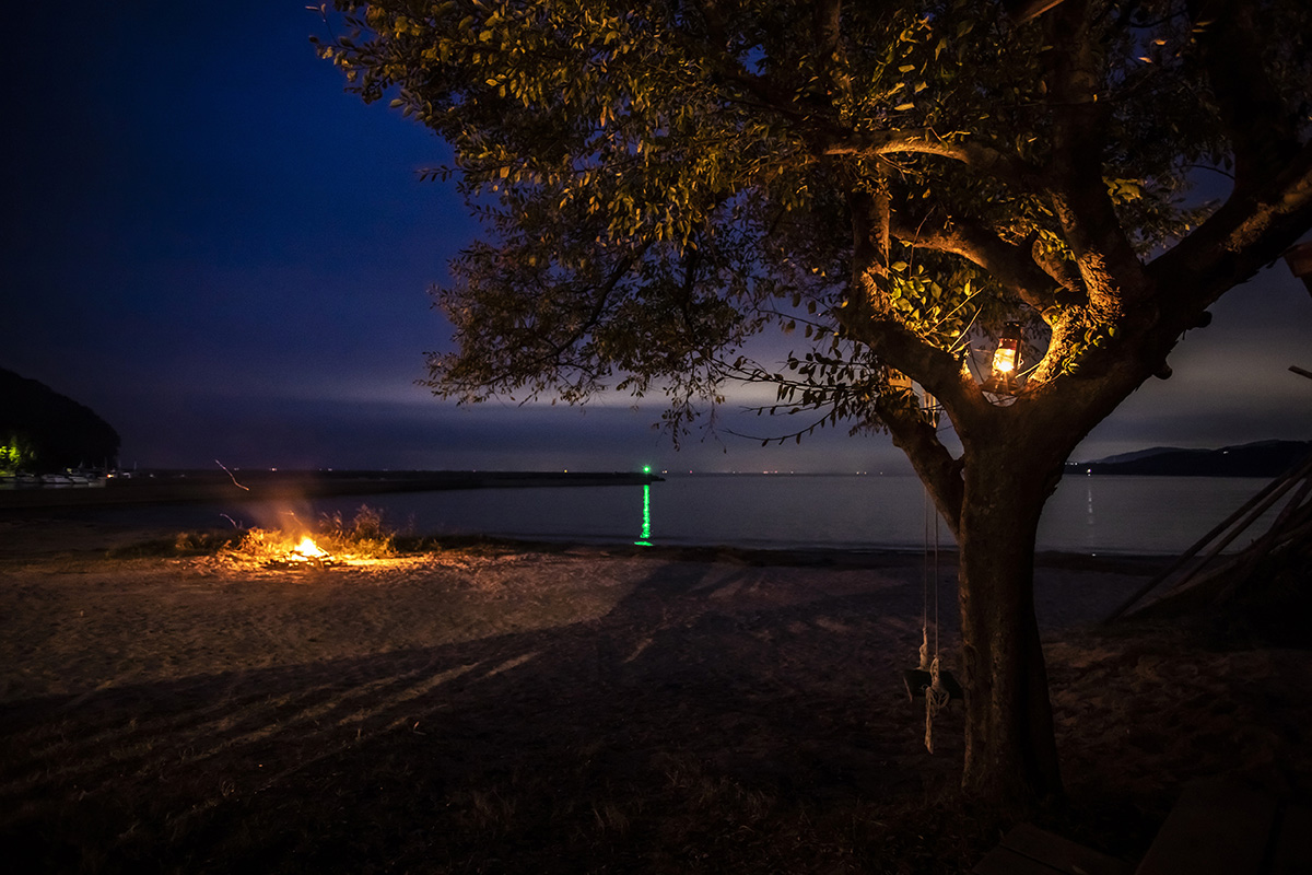 メディアのキャプション