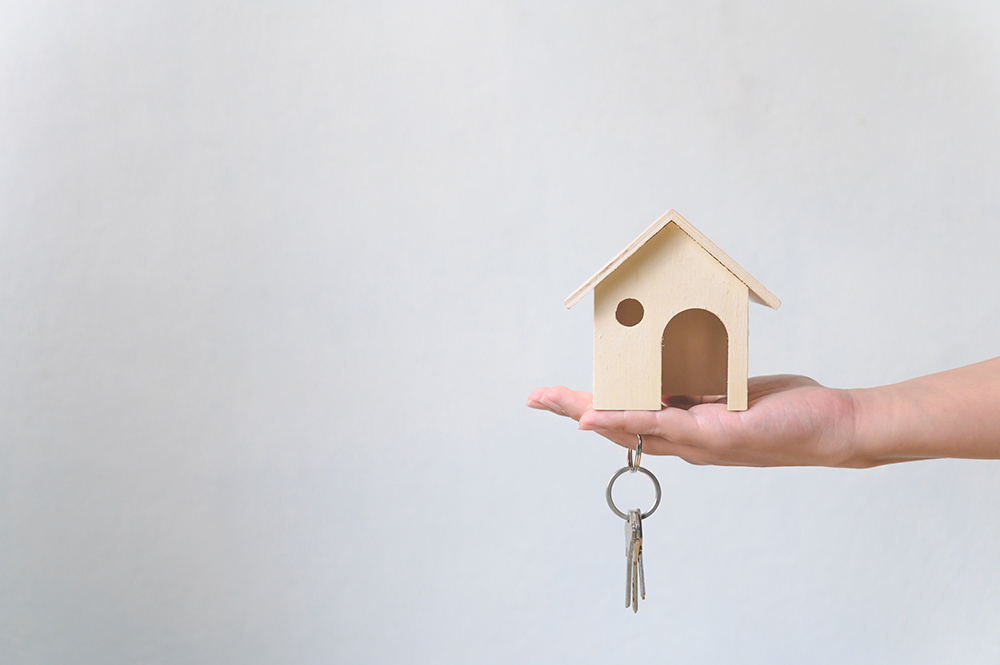 メディアのキャプション