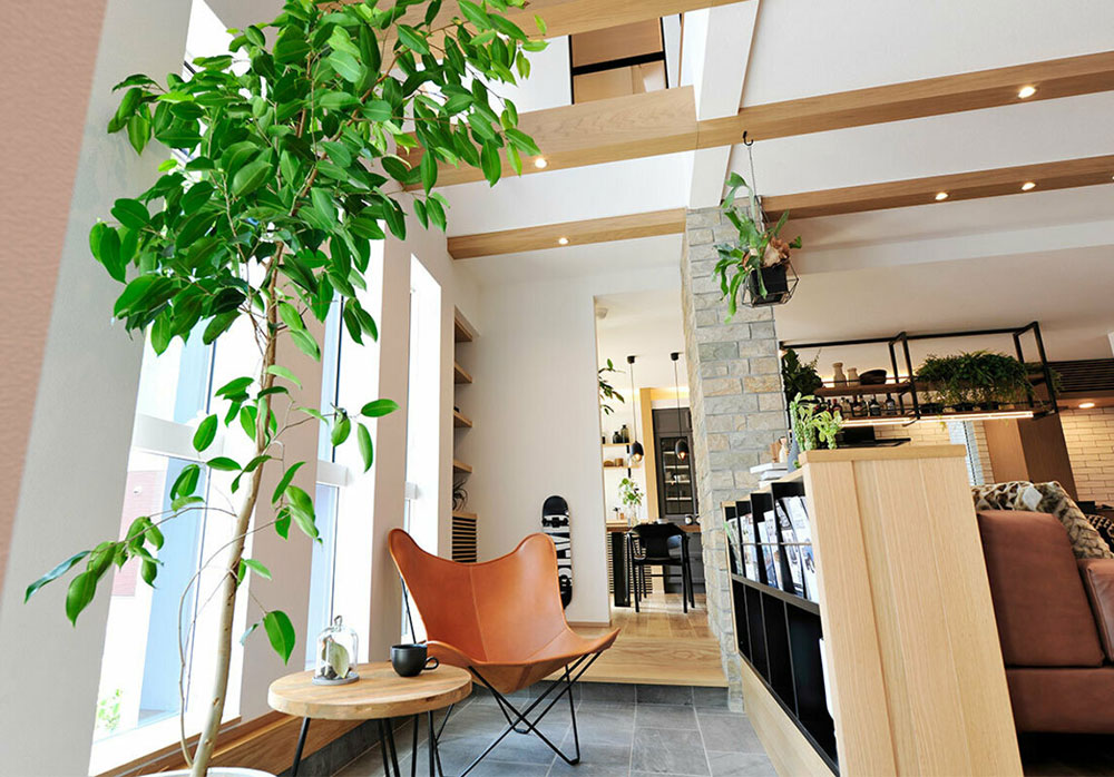 メディアのキャプション