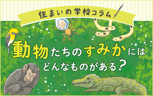 住まいの学校コラム　動物たちのすみかにはどんなものがある？
