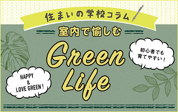 住まいの学校コラム　室内で愉しめるグリーンの効果や種類について見てみよう！