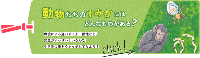 動物たちのすみかにはどんなものがある？　環境による違いや工夫、個性など、発見がいっぱい！いろんな生き物の巣をウォッチしてみよう！