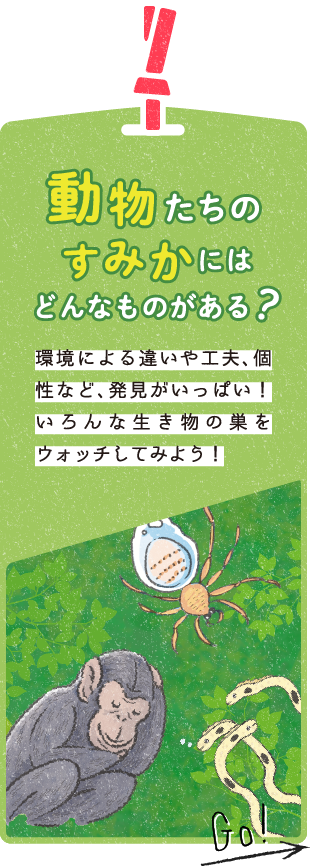動物たちのすみかにはどんなものがある？　環境による違いや工夫、個性など、発見がいっぱい！いろんな生き物の巣をウォッチしてみよう！