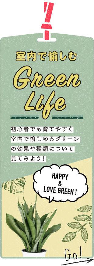 室内で愉しめるグリーンの効果や種類について見てみよう！