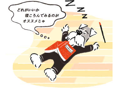 どれがいいか寝ころんでみるのがおススメじゃ