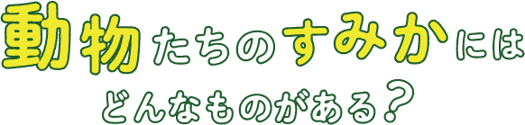 動物たちのすみかにはどんなものがある？