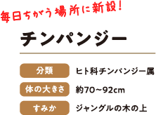 毎日違う場所に新設！　チンパンジー　分類：ヒト科チンパンジー属　体の大きさ：約70〜92cm　すみか：ジャングルの木の上