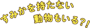 すみかを持たない動物もいる？！