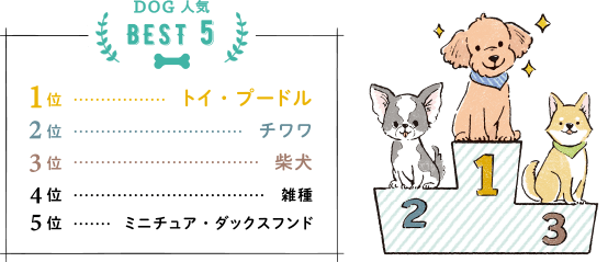 DOG人気BEST5　1位トイプードル、2位チワワ、3位柴犬、4位雑種、5位ミニチュア・ダックスフンド