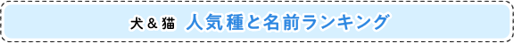 犬＆猫 人気種と名前ランキング
