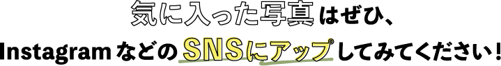 気に入った写真はぜひ、InstagramなどのSNSにアップしてみてください！