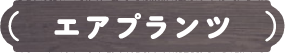 エアプランツ