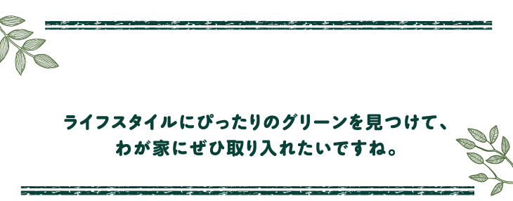 おしゃれなインテリアとしてだけでなく、癒しや調湿、空気をきれいにする効果もあるグリーン。ライフスタイルにぴったりのグリーンを見つけて、わが家にぜひ取り入れたいですね。
