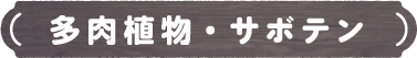 多肉植物・サボテン