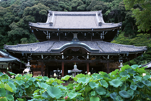 温故知新の住まい術。気候や風土に合った日本の屋根。