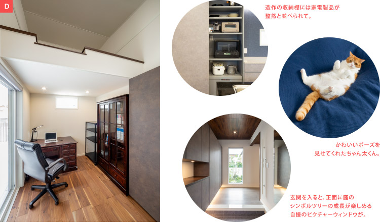 【キッチンの写真】造作の収納棚には家電製品が整然と並べられて。【猫の写真】かわいいポーズを見せてくれたちゃん太くん。【玄関の写真】玄関を入ると、正面に庭のシンボルツリーの成長が楽しめる自慢のピクチャーウィンドウが。